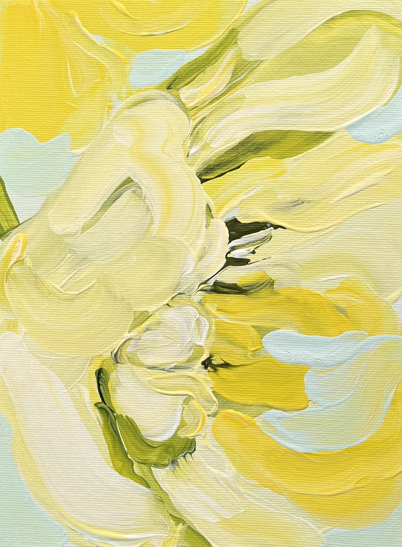 Gele tulp