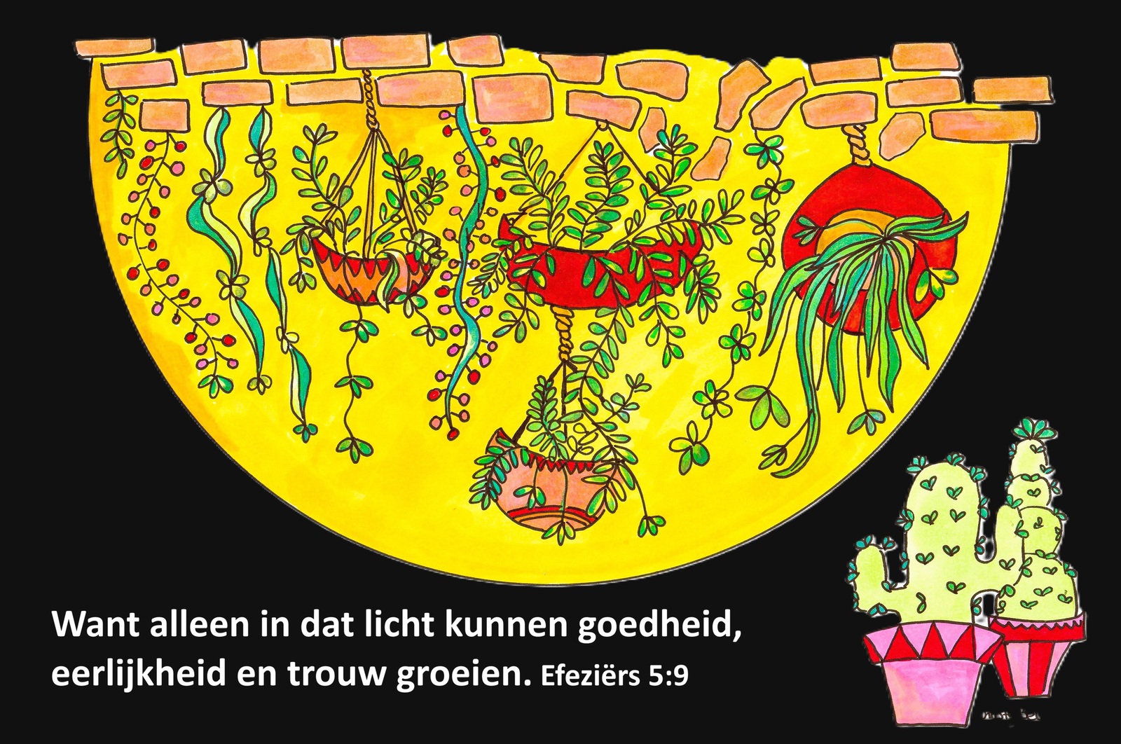Planten groeien naar licht.