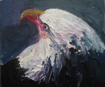 majestic eagle