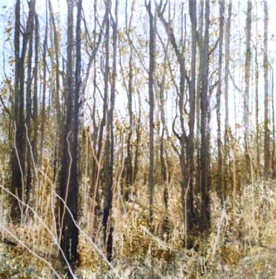 Herfstbos