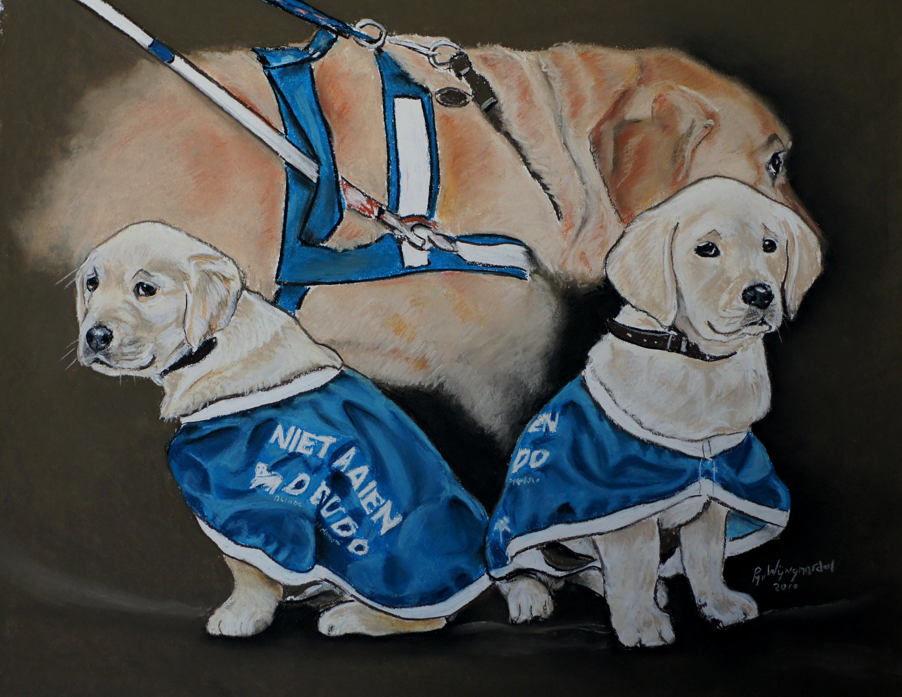 Pup in opleiding