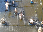 project Waterlanders in samenwerking met Rommert calje en Opis Helpt