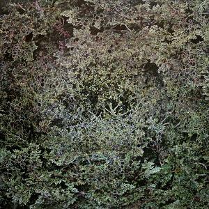 Selected works from a series in development (about 70 works in total)
Available works are indicated by *