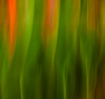 Een fotoserie met letterlijk bewogen fotot's en foto's waardoor je bewogen wordt.