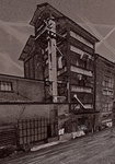 Oude (leegstaande) industrieƫle gebouwen trekken mij vanwege de sfeer van een vergaan verleden.