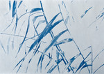 Cyanotypie of blauwdruk is een fotografisch proces, ontdekt in de negentiende eeuw.