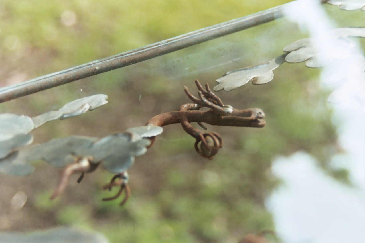 Draken (detail 2)