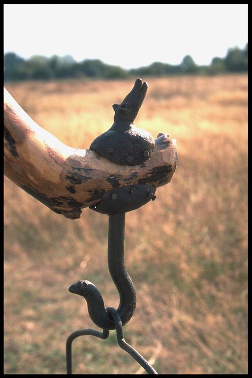 IJzeren rots detail