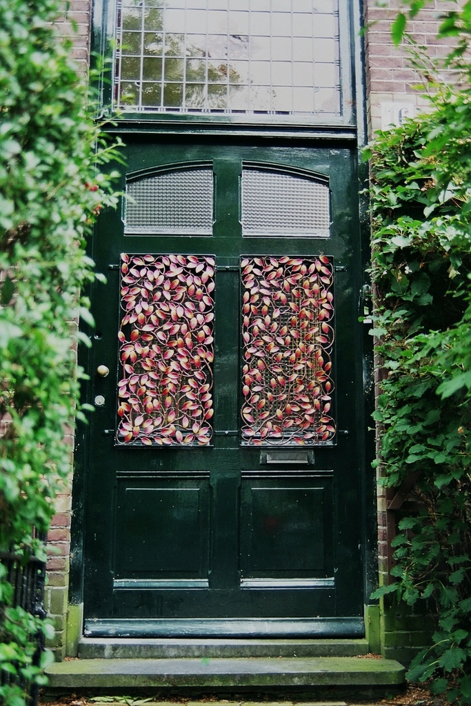 Doornroosje