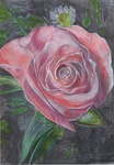 realistische aquareltekeningen van bloemen en planten.