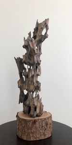 The Encounter with Root Wood