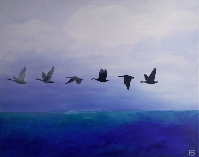 Ganzen, blauw