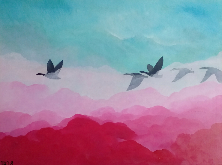 Ganzen in het roze