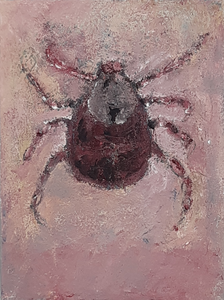 impressies van insekten, vaak non-figuratief