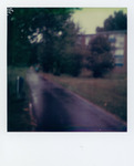 Polaroid