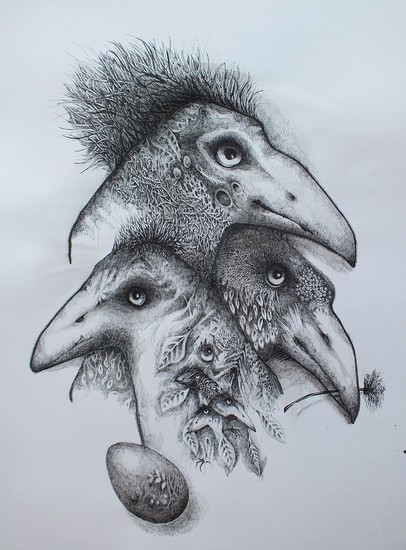 Drie grote vogelkoppen