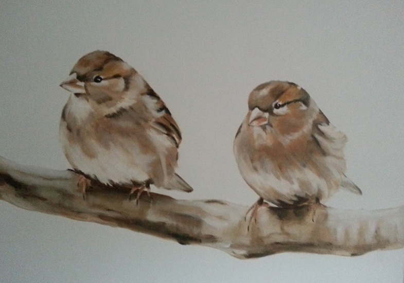 vogels