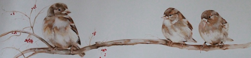 vogels
