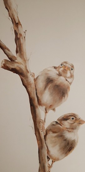 vogels