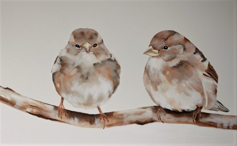 vogels