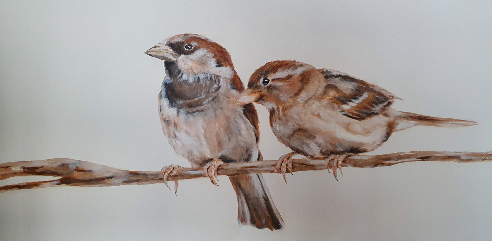 dieren