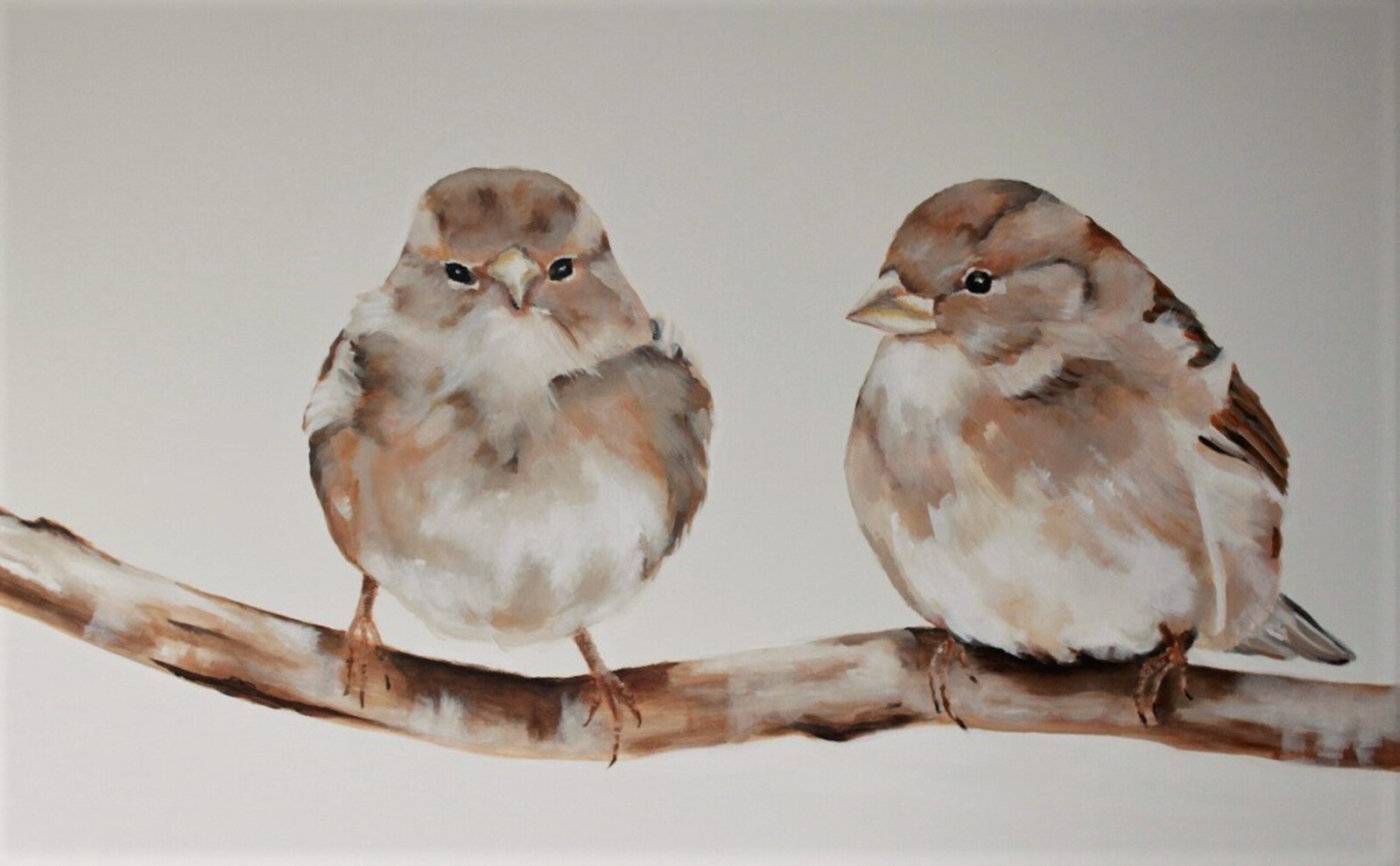 vogels