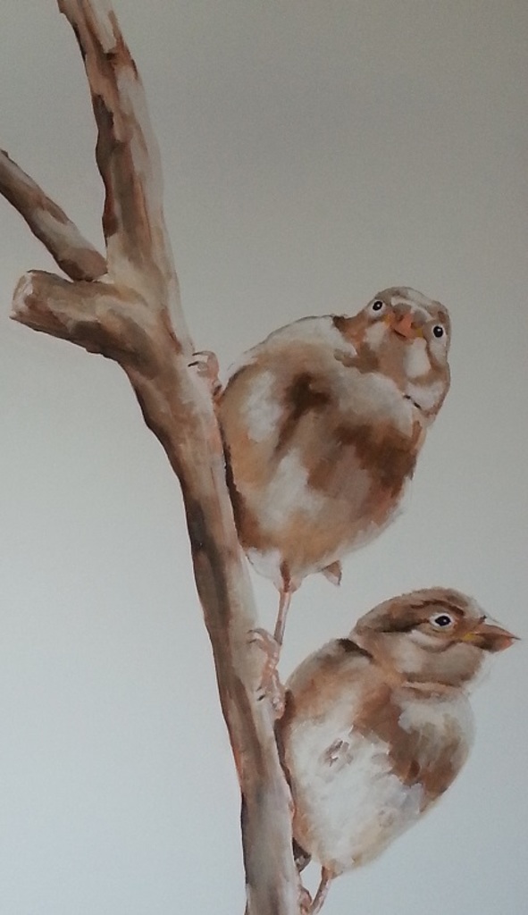 vogels