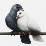 Schilderijen die de hedendaagse maatschappij op een subtiele wijze bekritiseren. Door de plaatsing van nagenoeg levensgrootte dieren tegen een lege, monochrome achtergrond, balanceren de werken op de rand van realisme en fantasie. Humor, confronterende menselijke gevoelens en positieve maatschappijkritiek zijn nooit ver weg. Je kunt de schilderijen dan ook zien als visuele fabels.