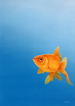 Schilderijen die de hedendaagse maatschappij op een subtiele wijze bekritiseren. Door de plaatsing van nagenoeg levensgrootte dieren tegen een lege, monochrome achtergrond, balanceren de werken op de rand van realisme en fantasie. Je kunt de schilderijen zien als visuele fabels, waarbij humor, confronterende menselijke gevoelens en positieve maatschappijkritiek nooit ver weg zijn.