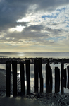 Foto's van het strand voor zo ver ze niet in de aan het strand gerelateerde close-up foto's voorkomen.