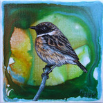 Deze vogeltjes zijn op een doekje geschilderd van 16 x 16 cm. Ze zijn ingelijst. Met lijst zijn ze 20 x 20 cm en kosten 125 euro. Op mijn blog pagina kun je zien hoe ze er ingelijst uit zien. Van een aantal van deze vogels heb ik ansichtkaarten te koop. Voor details kijk je onder het kopje 'kunstkaarten'.