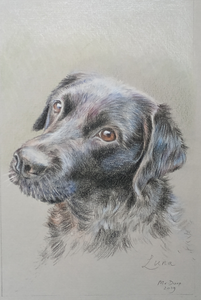 Graag teken ik dieren, zoals dieren die ik gezien heb in het wild in Afrika, maar meestal in  (huis) dieren in opdracht