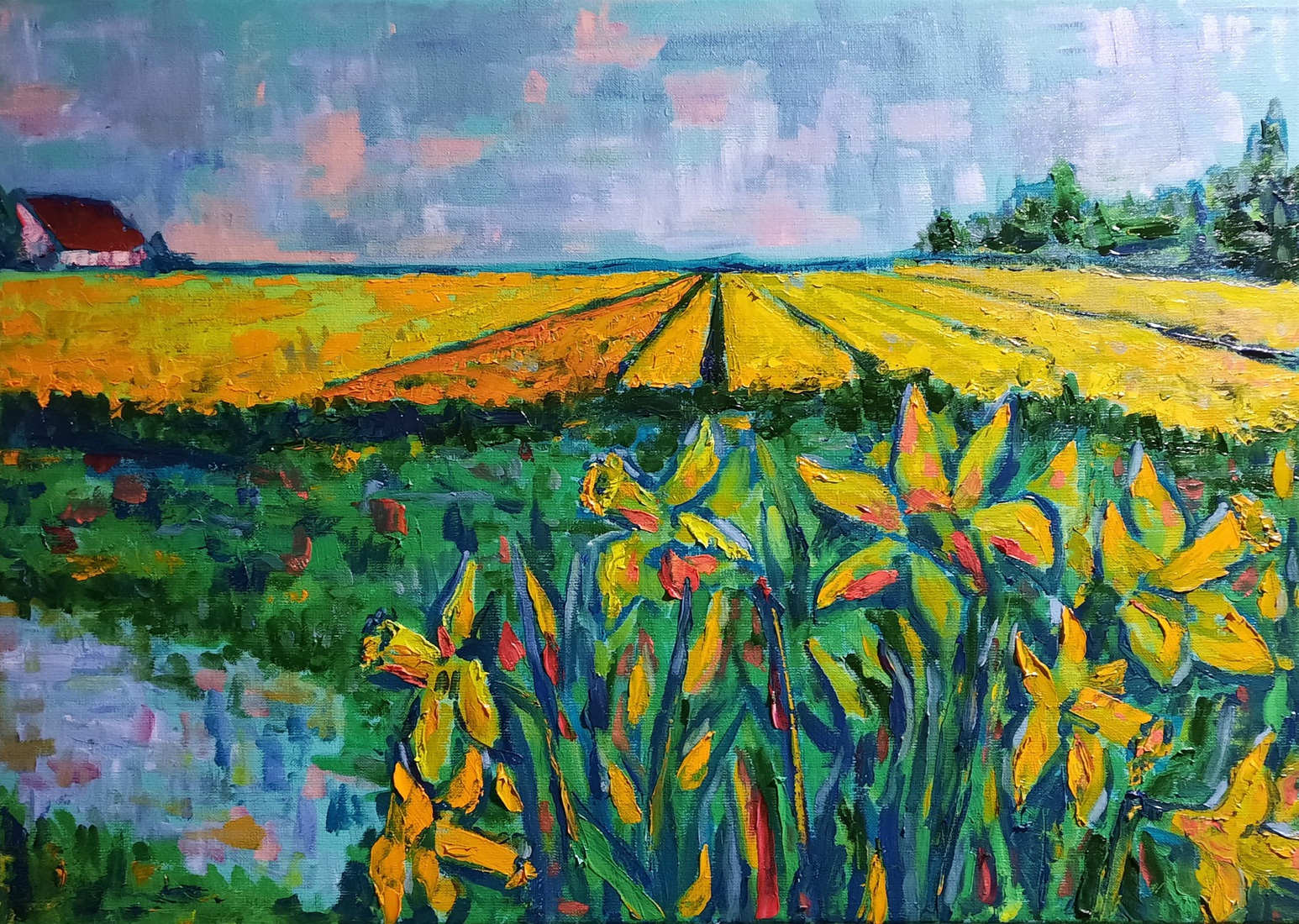 Narcissen aan bloembollenvelden Noordwijkerhout
