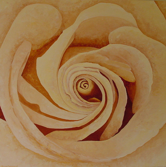 champagne rose