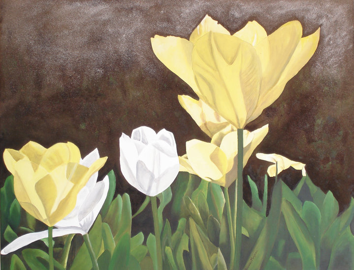 gele en witte tulpen