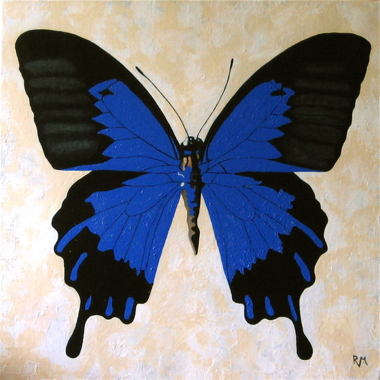 Papilio ulysses