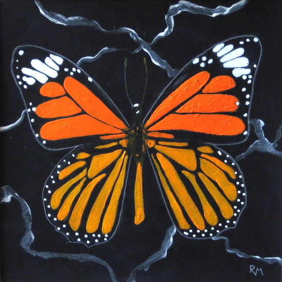 Danaus genutia