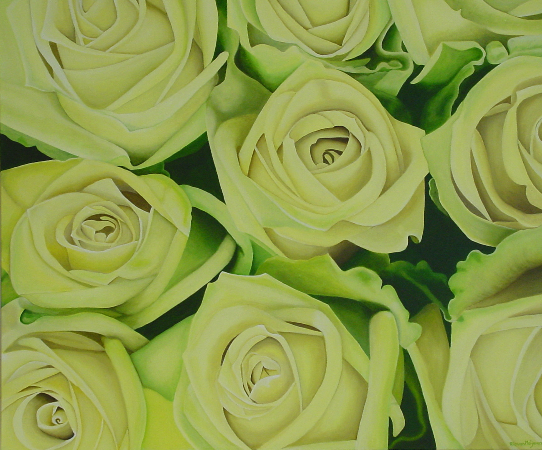 lemon roses