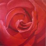 mooie bloemen