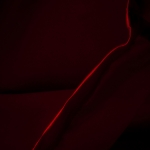 Rood Rood