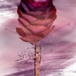 Bloem Bloem