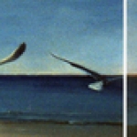 strand 1 en 2 strand 1 en 2