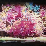 Flowery Fast Forward Flowery Fast Forward