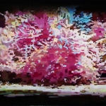 Flowery Fast Forward Flowery Fast Forward