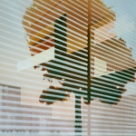 Tree, 4 Tree, 4