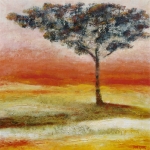 Zonneboom Zonneboom