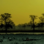 Gouden hemel Gouden hemel