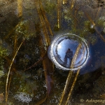 Reflectie in drap Reflectie in drap
