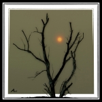 Mist Mist