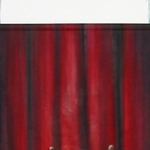 'vlieg' 'vlieg'